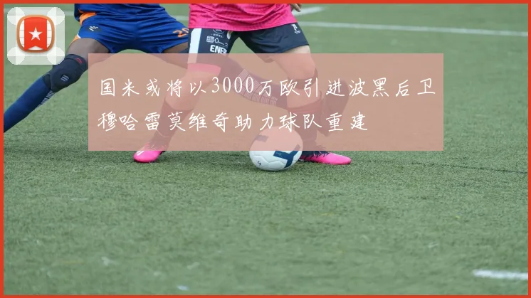 国米或将以3000万欧引进波黑后卫穆哈雷莫维奇助力球队重建