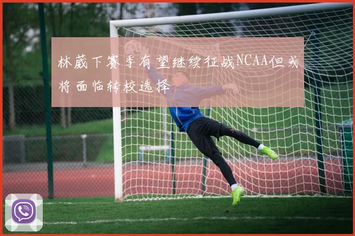 林葳下赛季有望继续征战NCAA但或将面临转校选择