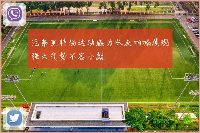 范弗里特场边助威为队友呐喊展现强大气势不容小觑